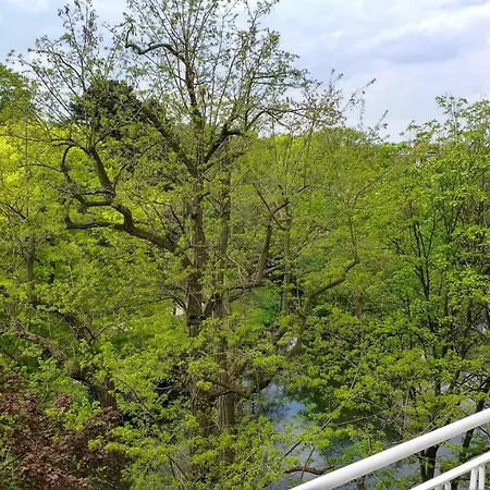 Parkblick
